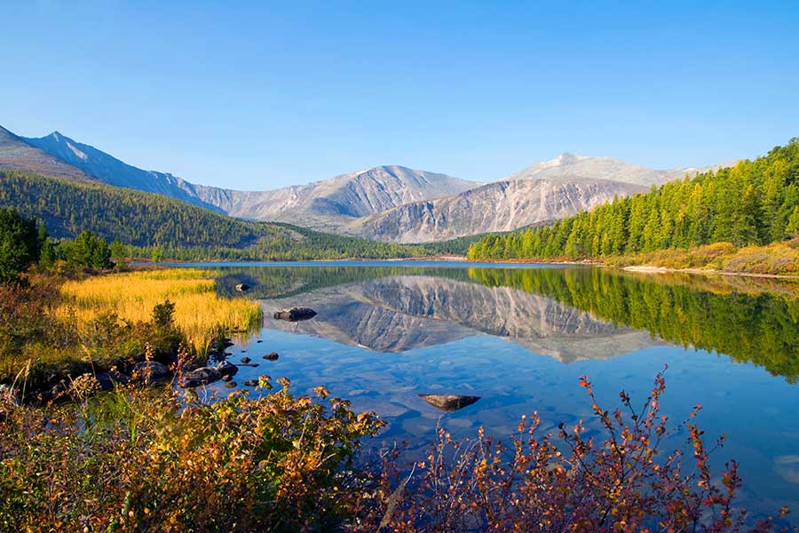 Quando a sua empresa precisa de uma Assistente Administrativa Virtual? Sinais de alerta